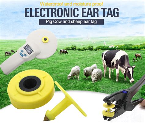 can you internal rfid tag cattle|livestock tagging system.